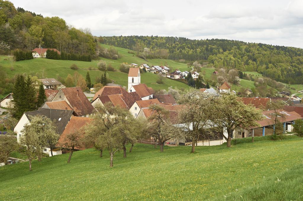 Apartment Kranz